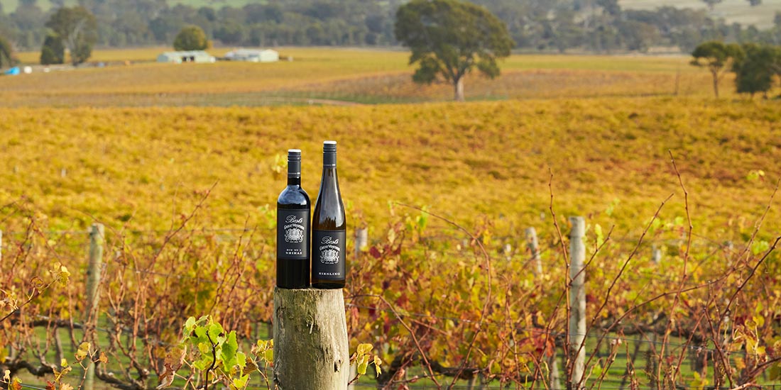 Two bottles on a three stump in the vineyard. 